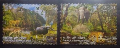 Zoological Survey of India. (Set of 2)
