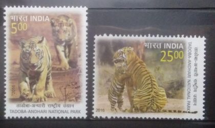 Tadoba Andhari National park (Set of 2)