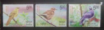Vulnerable Birds (Set of 3)
