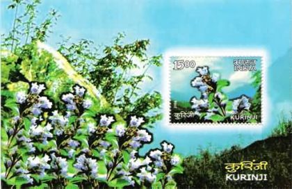 Kurinji - 2006 (Indian Miniature Sheets)