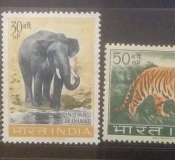 Wild Life Preservation (Set of 5)