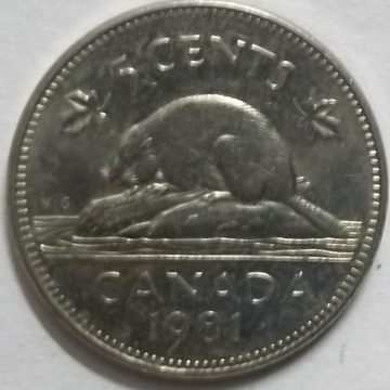5 Cents Canada 1981 Elizabeth II D.G Regina  (used)