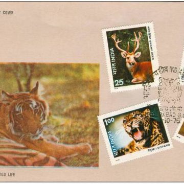 First Day Cover 01 Oct.'76 Indian Wild Life (FDC-1976) (Spots/hinged/slightly damaged/Paper Stuck)