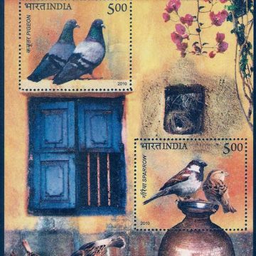 Pigeon & Sparrow - 2010 (Indian Miniature Sheets)