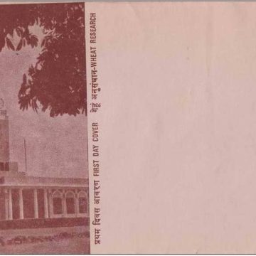 First Day Cover 23 Feb.'78 Fifth International Wheat Genetics Symposium,New Delhi (FDC-1978) (Spots/hinged/slightly damaged/Paper Stuck)
