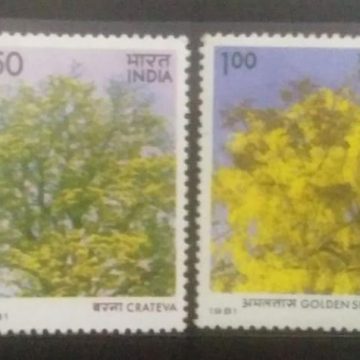 Indian Flowering Trees (Set of 4)