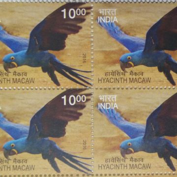 Exotic Birds;  Hyacinth Macaw (Block of 4 stamp)