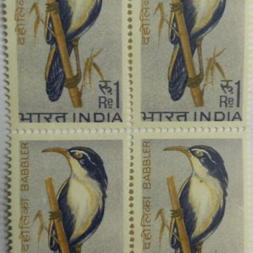 Indian Birds - Babbler. Bird, Scimitar Babbler, Pomatorhinus, Xiphirhynchus, Jabouilleia, 1 Re. (Block of 4 stamp)