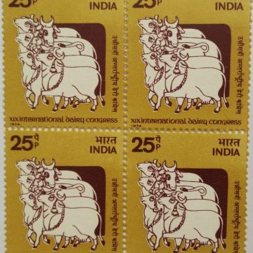 XIX International Dairy Congress. Dairy, Milk, Event, Cow, Conference, Painting, 25 P. (Block of 4)