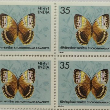 Butterflies - Stichophthalma Camadeva. Brush-Footed Butterfly, Stichophthalma camadeva, Morphinae,35 P. (Block of 4 stamp)