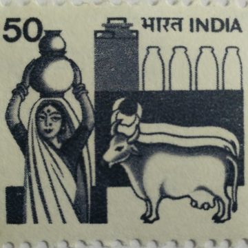 6th Series Dairy -50(Df)