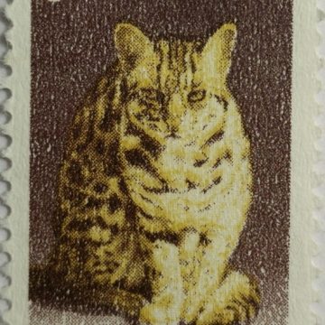 9th Series Leopard Cat -Rs.5(Df)