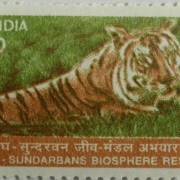 9th Series Tiger at Sundarbans Biosphere Reserve -Rs.10(Df)
