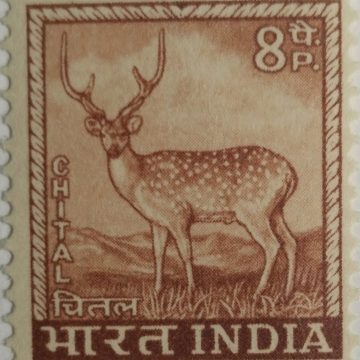 4th Series Chittal (Spotted Deer) -8p(Df)