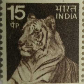 5th Series Tiger -15p(Df)