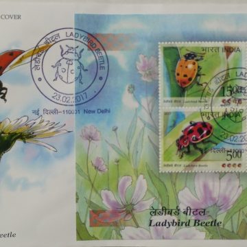 Ladybird Beetles (Miniature Sheet First Day Cover)