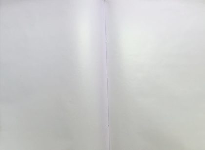 Full Sheet Album A4 Size - Stock Book,24 Pages 48 Sides,-Fine Fresh Quality Soft Bound - Image 2