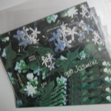2008 India Miniature Sheet Jasmine-Indian Miniature Sheets-5nos