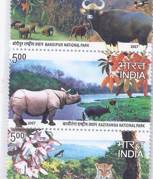 National parks of India (Indian Setenants)