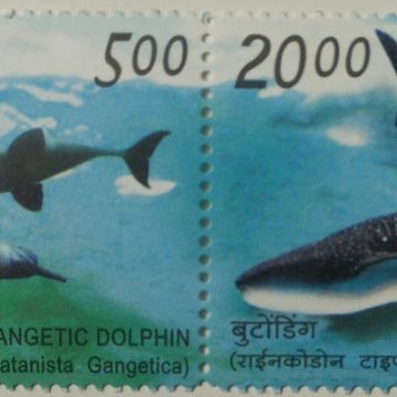 Indo-Philippines (Indian Setenants)
