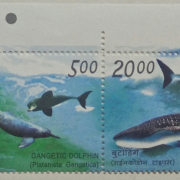 Indo-Philippines (Setenant TL)