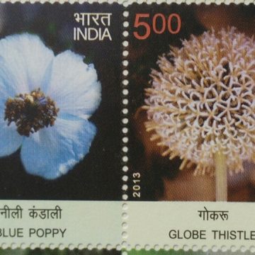 Wild Flowers of India (Horizontal strip) (Indian Setenants)