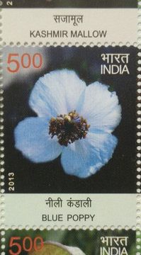 Wild Flowers of India (Vertical strip) (Indian Setenants)