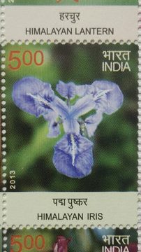 Wild Flowers of India (Vertical strip) (Indian Setenants)