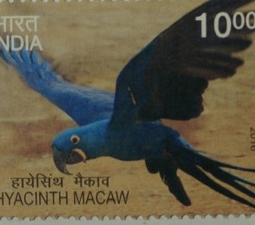 Exotic Birds (Horizontal Strip of 3) (Indian Setenants)