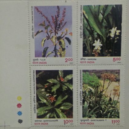 Medicine Plant (Setenant TL)