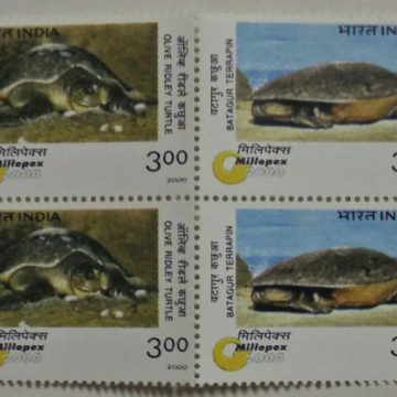Turtles (Setenant Block of 4)