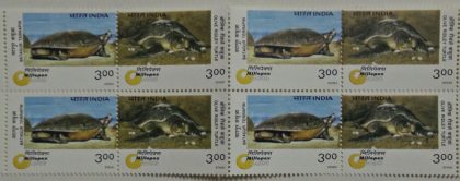 Turtles (Setenant Block of 4)