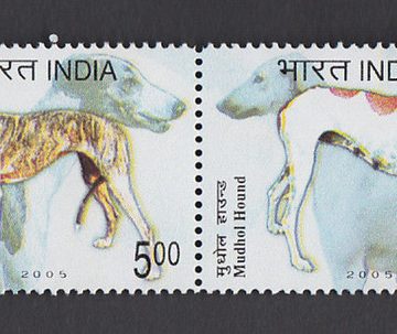 Breeds of Dogs (Indian Setenants)