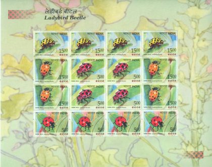 ?Ladybird Beetle (Sheetlets)