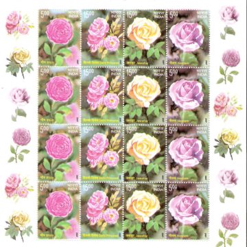 Roses (Sheetlets)