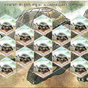 Aldabra Giant Tortoise (Sheetlets)