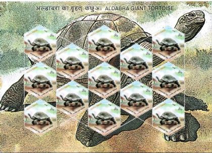 Aldabra Giant Tortoise (Sheetlets)