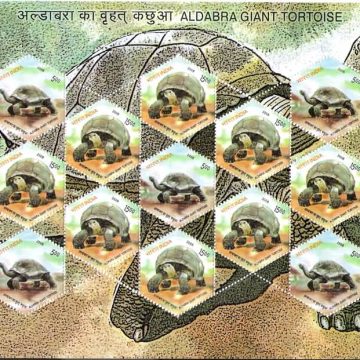 Aldabra Giant Tortoise (Sheetlets)