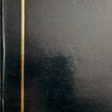 Stamp Album DELUXE -Stock Books, 20 Sides, 10 Pages-Super Fine Quality-Fresh Stock - 9 x 6.5