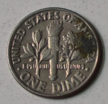 U.S.A. 1-DIME 1981 (Used) - Image 2