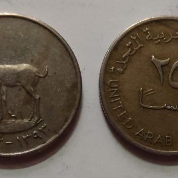 ARAB EMIRATES 25 FILS 1973(Used)