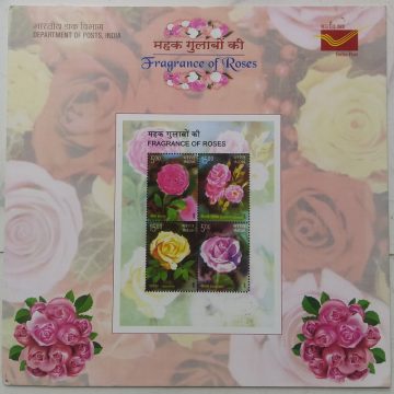 Fragrance of Roses Presentation Pack