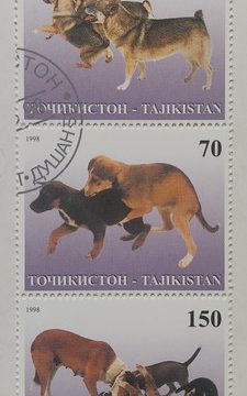 Dog Tajikistan strip of 5 (Used stamps)