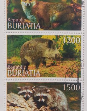Animals Republic Buriatia strip of 5 (Used stamps)