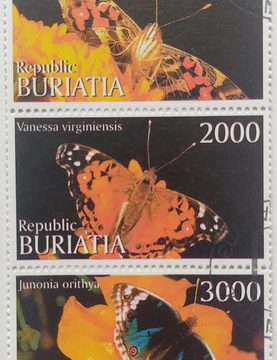 Butterflies Republic Buriatia strip of 5 (Used stamps)