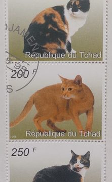Cat Republique du Tchad strip of 5 (Used stamps)