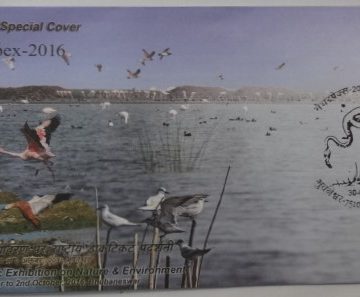 Chilika The heaven for the Birds (Special Cover)