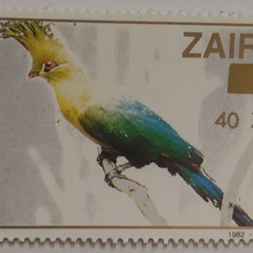 Zaire Touraco Vert