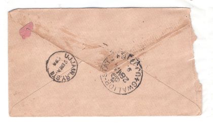 498.BIAORA 26 MA.94 HALFANNA Used Covers - Image 2