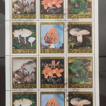 Mixed flowers used stamps (12 stamps) Blk of 6 x 2